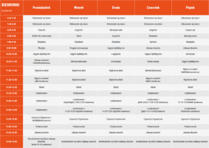 Plan zajęć - Biedronki